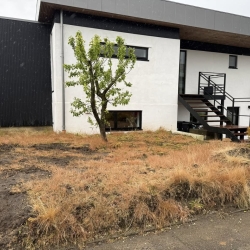 Anlægning af have i Skive